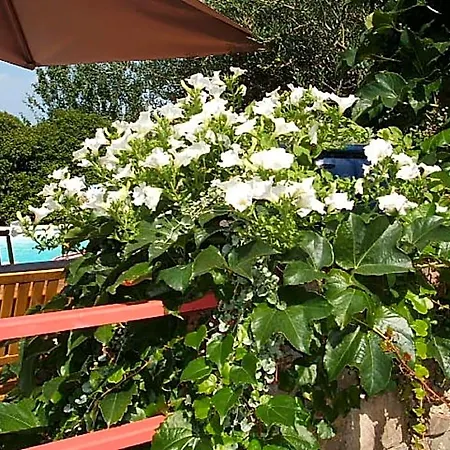 D'hôtes Sous L'olivier 3*