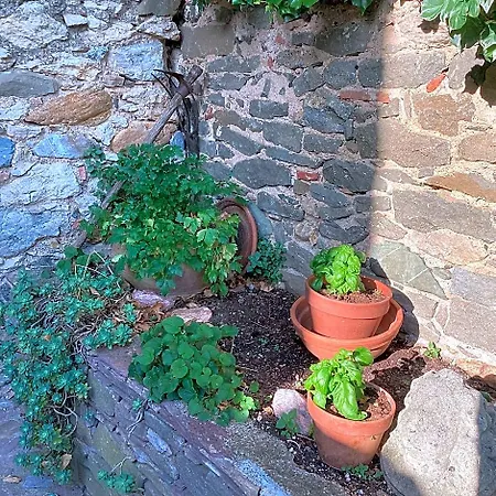 D'hotes Sous L'olivier Bed & Breakfast Trausse